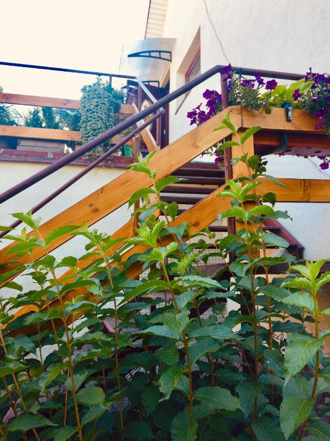 Apartament Delux Z Tarasem Apartment Sierpc Екстериор снимка